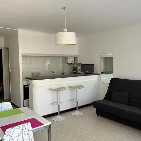 Agreable T2 Pour 5 Pers, 1er Etage, Climatise, Parking Securise - Fr-1-797-6 Appartamento *